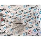 Щуп масляный MAN D2066 921312 (619)