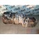 АКПП Iveco Eurostar 12AS2301DD 251363 с ретардой (759) 