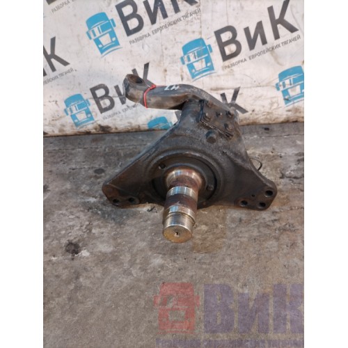 Цапфа (кулак поворотный) DAF 105 976058 LH (539)