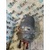 Энергоаккумулятор DAF 105 976058 задний RH (515)