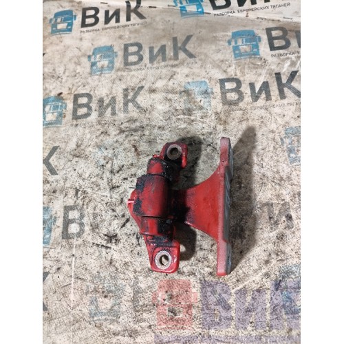 Петля двери Renault Premium 013647 (315)