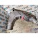 Патрубок интеркулера MAN TGS 184053 D2676 (671)