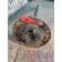 Полуось без блокировки MAN TGX 052290 96.5см (774)