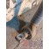 Тяга V-образная DAF 105 004769 (860)