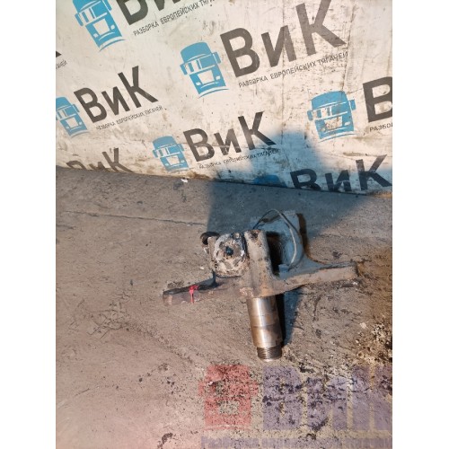 Цапфа (кулак поворотный) DAF 105 004769 RH (748)