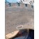 Шина 295/60 R22.5 MAN TGX 052303 DOUBLESTAR 2020г (110)