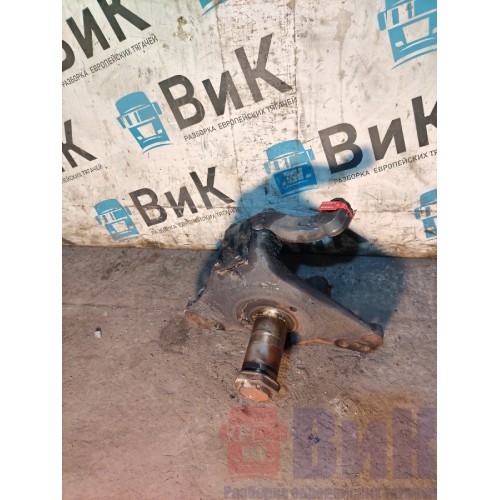 Цапфа (кулак поворотный) DAF 85 CF 994388 RH (420)