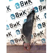 Крышка теплообменника Volvo FH 363433 D12D (956)