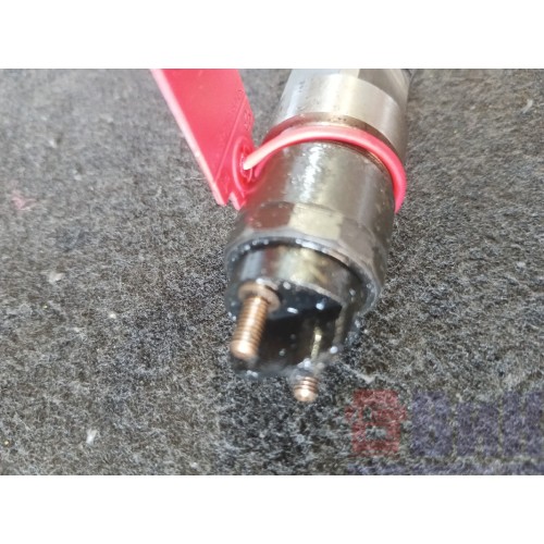 Форсунка топливная электрическая MAN TGA  D2066 179559 (587)-3