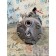 Компрессор кондиционера DAF 106 049232 (643)