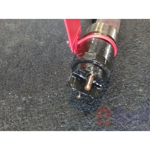 Форсунка топливная электрическая MAN D2066 (590)-2