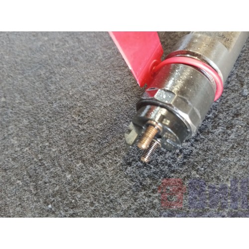 Форсунка топливная электрическая MAN D2066 (556)-1