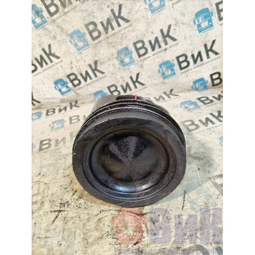 Поршень DAF 106 049232 (534)-4