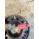 Шкив коленвала DAF 106 049232 (453)