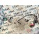 Проводка двери Renault TS 001057 RH (019)