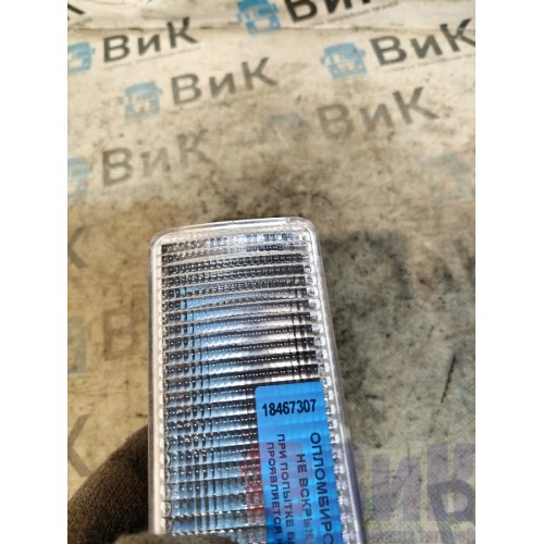 Фонарь подножки основной Renault TS 001057 (307)-3