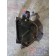 Кронштейн торсиона кабины Renault TS 001057 LH (938)