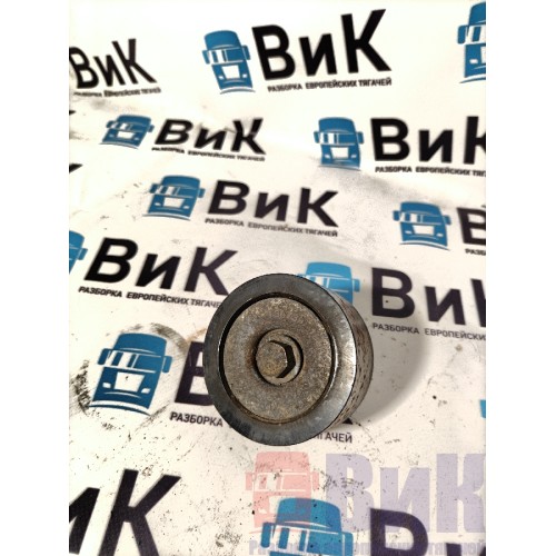 Ролик обводной DAF 106 066636 (135)