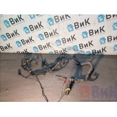 Проводка двигателя DAF 106 066636 (773)