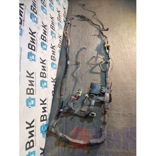 Проводка двигателя DAF 106 066636 (772)-4