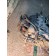 АКПП AT2412E Renault T  017895 (651)