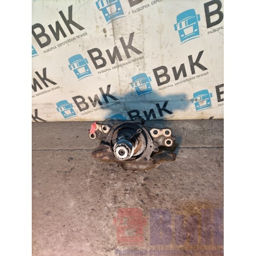 Цапфа (кулак поворотный) d=58 Renault T 017895 LH (668)