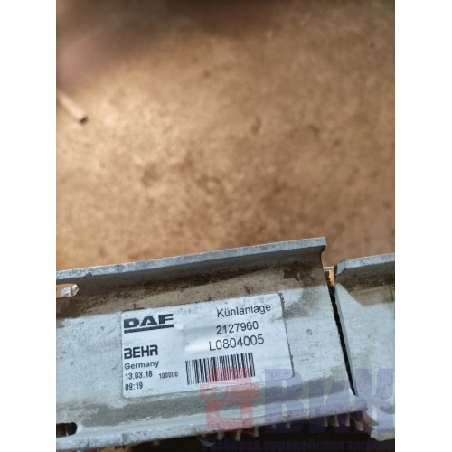Интеркулер DAF 105 203184 (388)-1