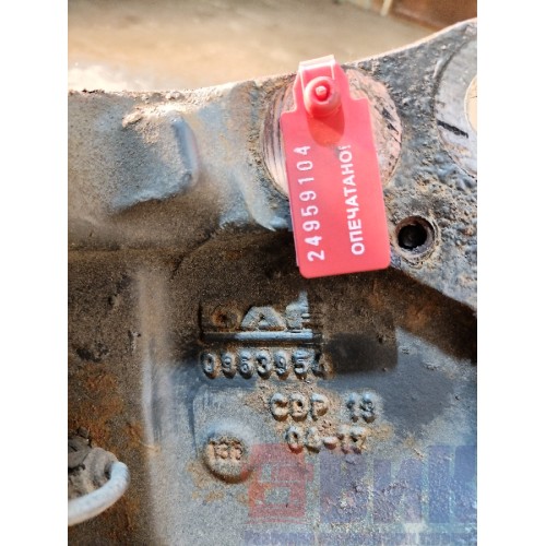 Цапфа (кулак поворотный) DAF 106 LH (104)-3