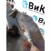 Петля подножки обслуживания Scania R440 176096 RH (452)