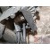 КПП Scania R440 176096 GRS905R (450)