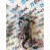 Рулевая колонка MAN TGA 086712 с замком зажигания (299) 