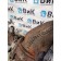 Корпус термостата Iveco EuroStar Cursor 10 E3 160577 в сборе (979)