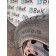 Колесо в сборе 315/70 R22.5 Scania G 400 084171 2023г BLACKHAWK (806)