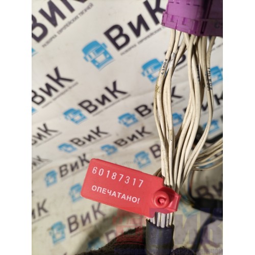 Проводка двери Scania 5 RH (317)-1