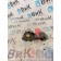 Роликовый толкатель (маленький) Scania R6 XPI DC13 156776 (775)