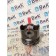 Поршень Scania R6 XPI DC13 156776 (745)