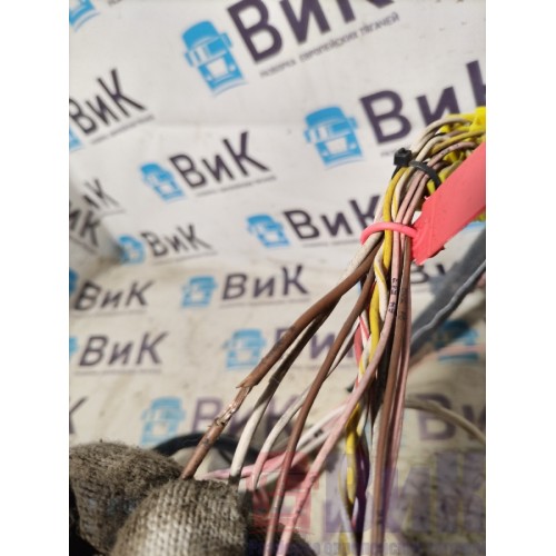 Проводка двери MAN TGX 581013 RH с мел. деф. (479)-3