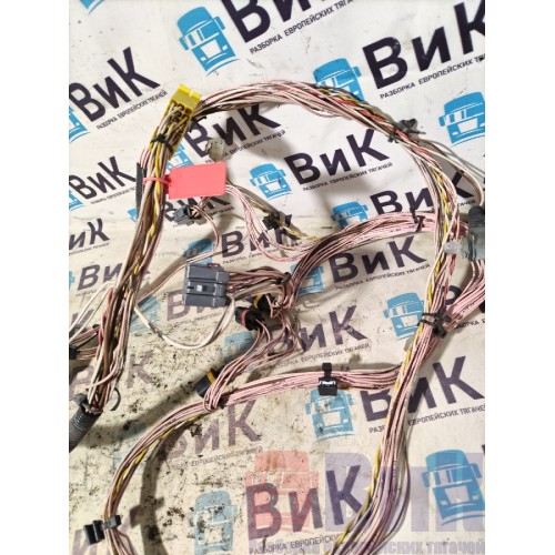 Проводка двери MAN TGX 581013 RH с мел. деф. (479)-4