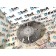 Вискомуфта (термомуфта) Sitrak C7H 611827 (208)