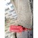 Патрубок интеркулера Renault T 002550 (640)
