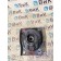Подушка двигателя Renault T 002550 передняя (582)