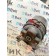 Энергоаккумулятор Renault T 002550 с фитингами ориг. LH (602)