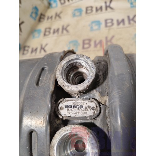 Энергоаккумулятор DAF 106 181944 LH (994)-3