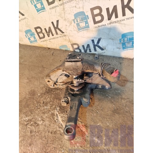 Цапфа (кулак поворотный) DAF 106 181944 LH (811)-3