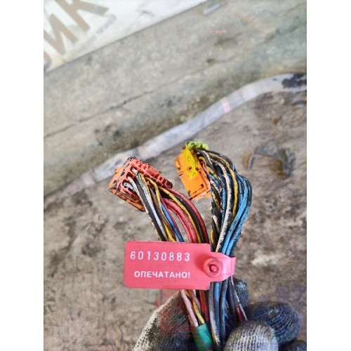 Проводка рамная DAF 106 181944 (883)-1