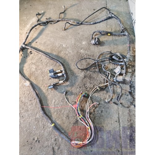 Проводка рамная DAF 106 181944 (881)-1