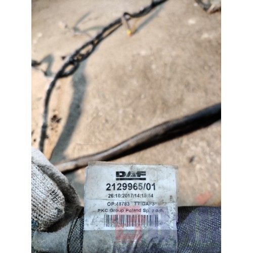 Проводка рамная DAF 106 181944 (881)-3