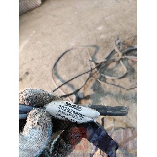 Проводка рамная DAF 106 181944 (880)-2