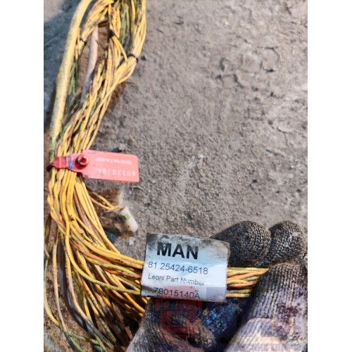 Проводка двигателя MAN TGX 061924 D2676 LF (706)-2