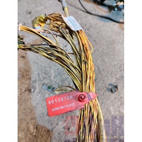 Проводка двигателя MAN TGX 061924 D2676 LF (706)-3